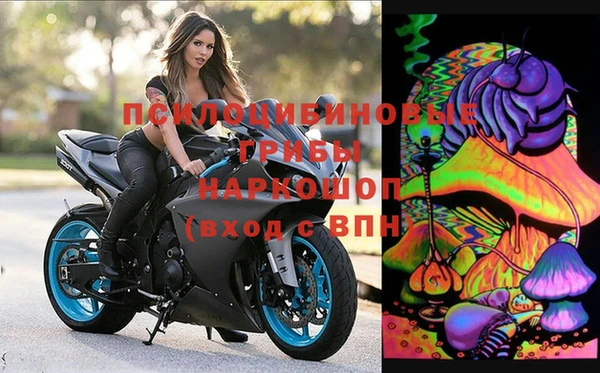 MDMA Белокуриха