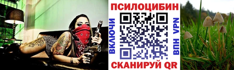 Псилоцибиновые грибы Cubensis  mega   Шиханы  купить наркотики сайты 